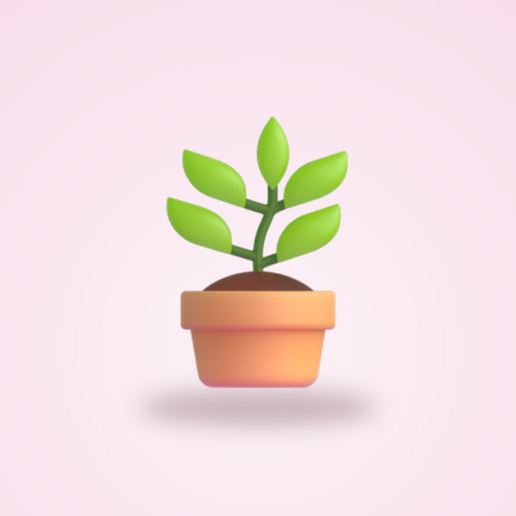 Plante en pot